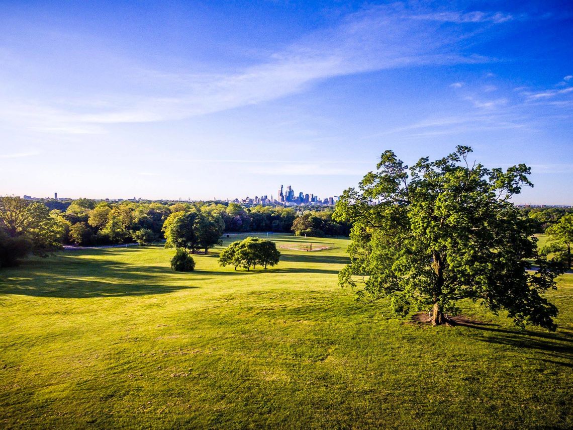 Belmont Plateau