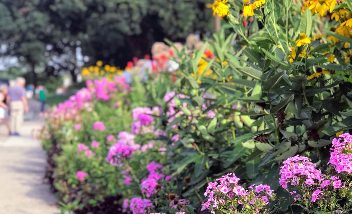 gorgas park flowers