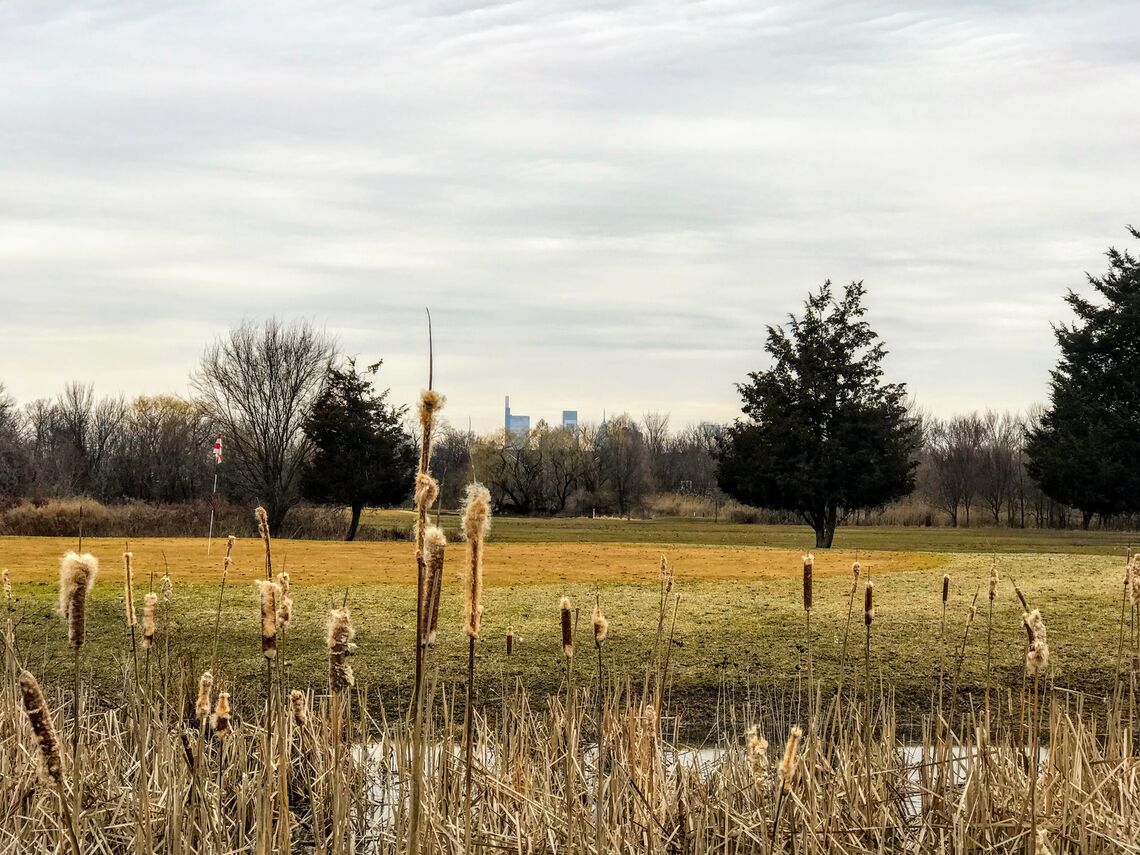 fdr park golf course