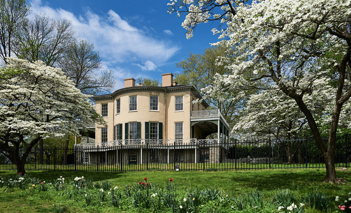 lemon hill