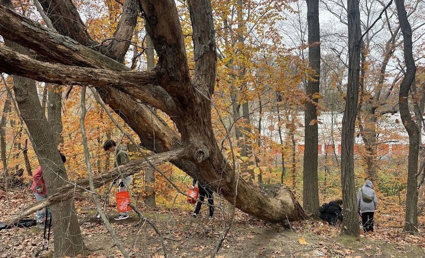 cobbs creek trash pick up pic