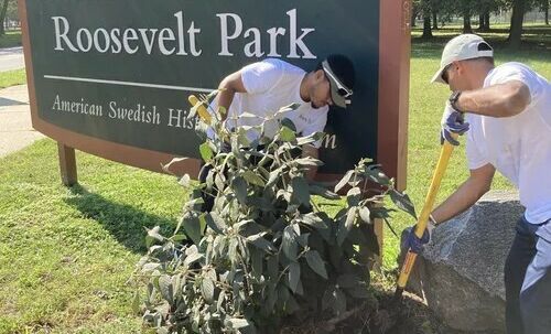 fdr park stewardship