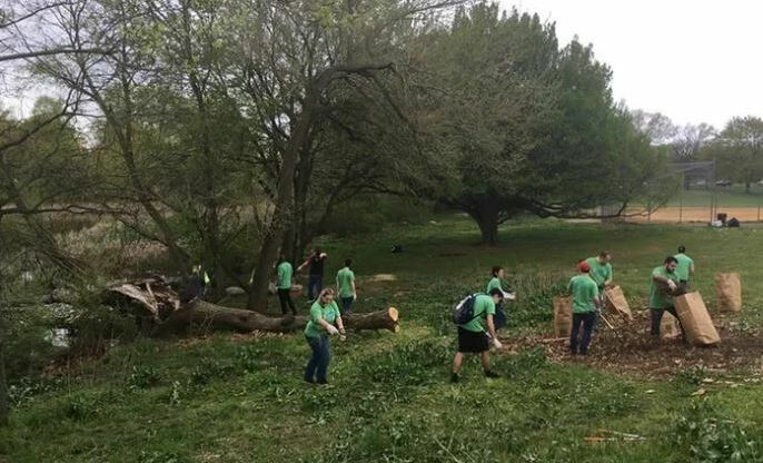 fdr park volunteering