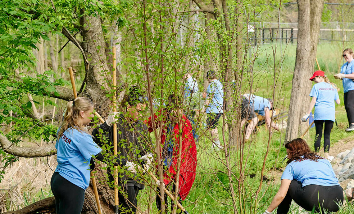 fdr park food forest