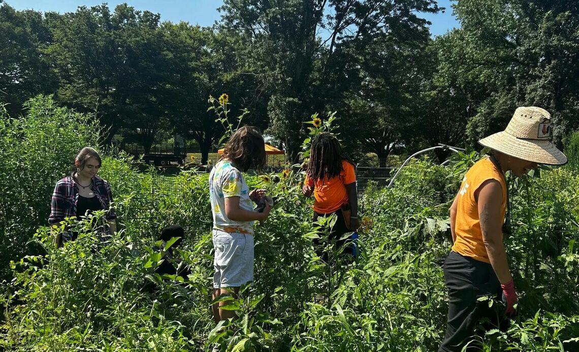 fdr park garden