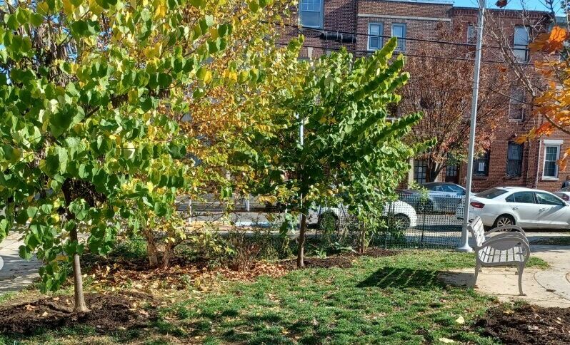 carpenter green park