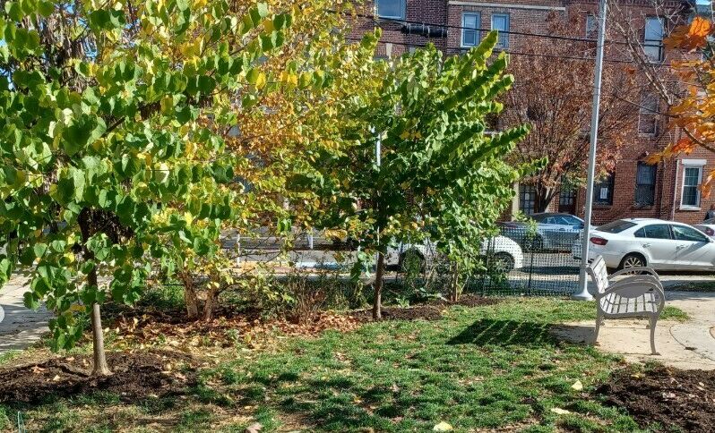 carpenter green park