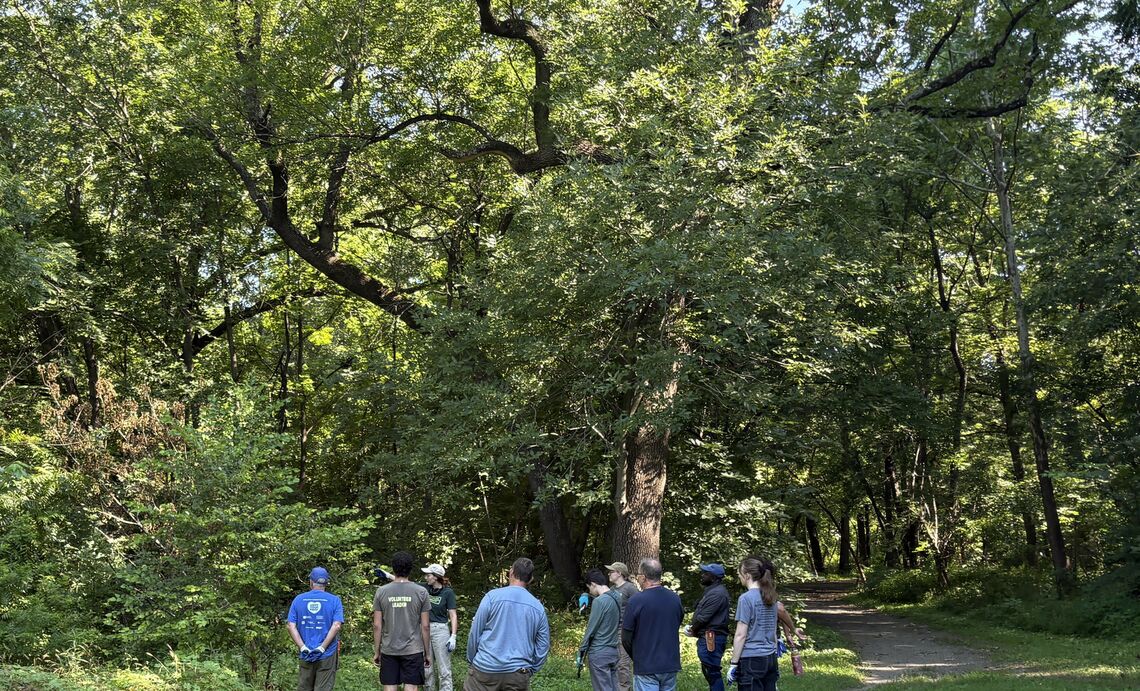 cobbs creek community work day