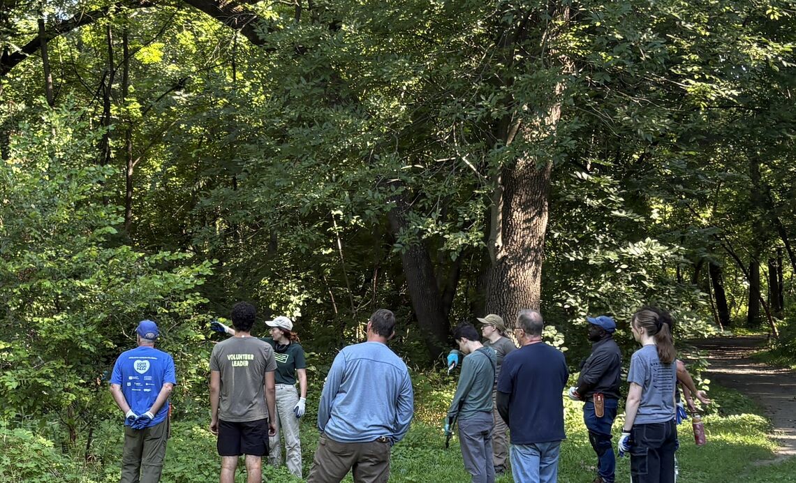 cobbs creek community work day