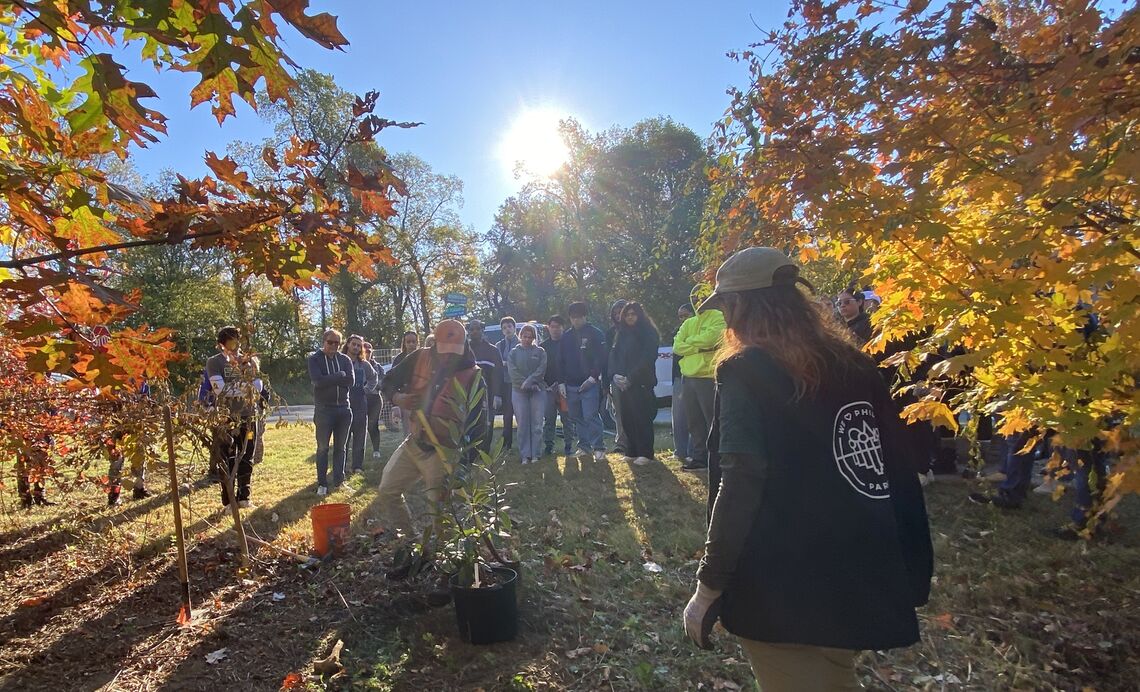 2025 east fairmount park planting