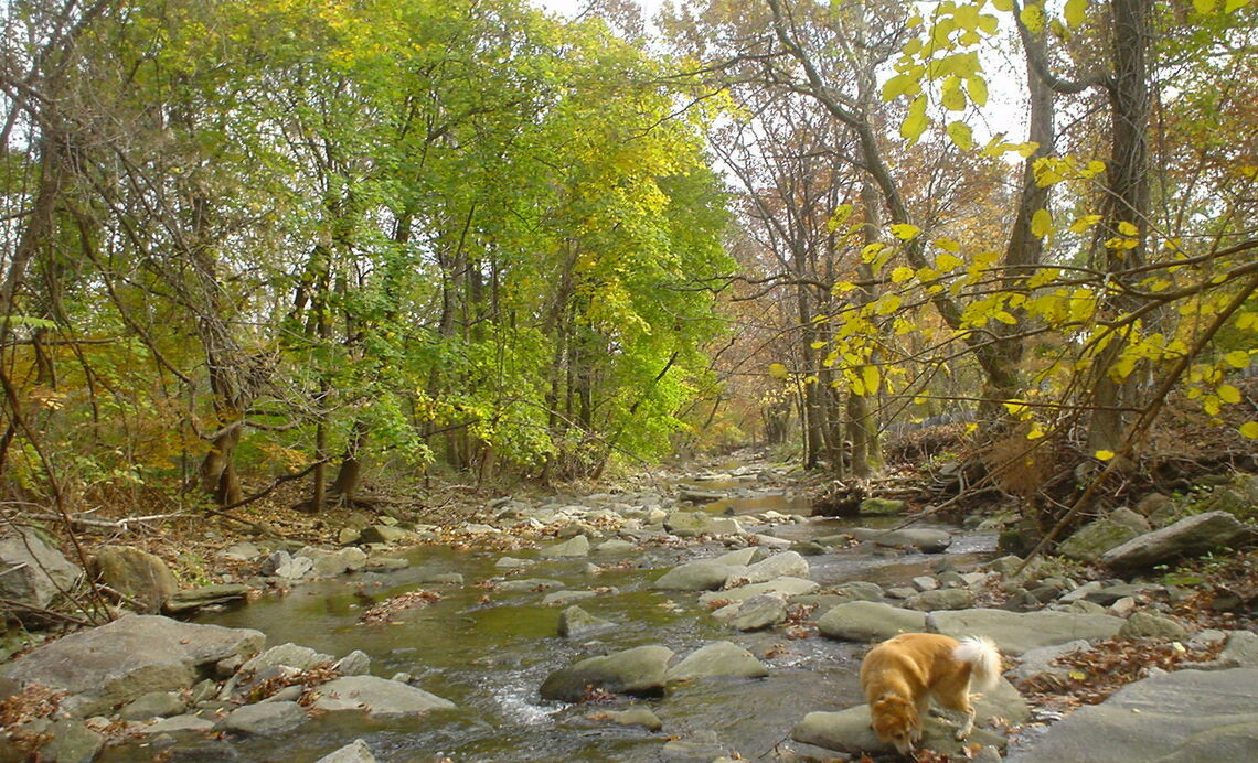 cobbcreek