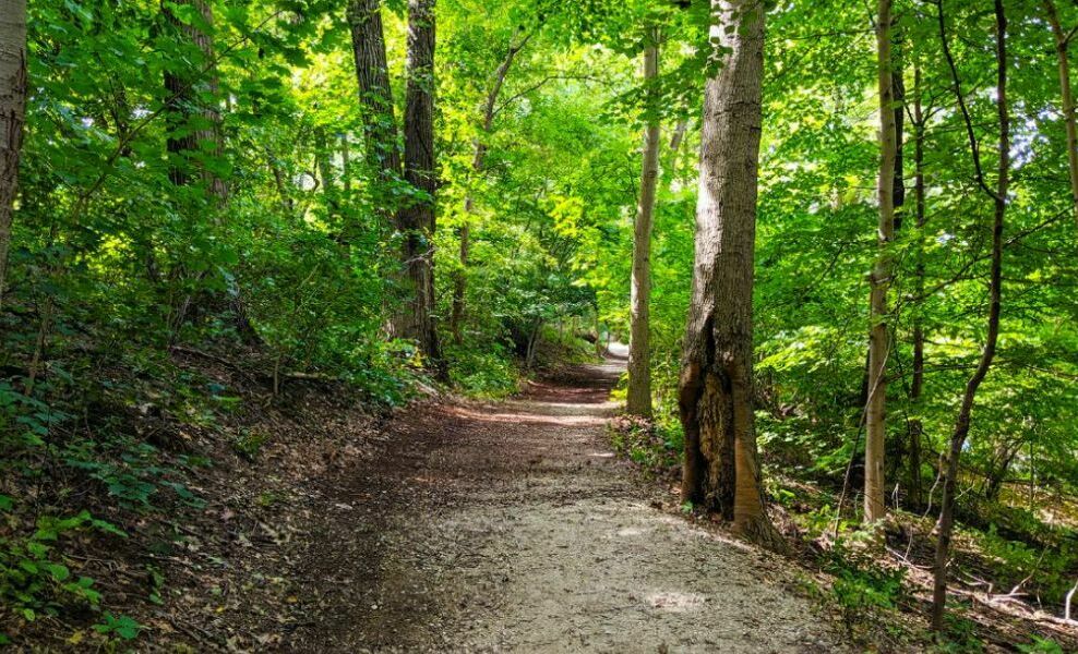 fairmount park boxer trail philadelphia